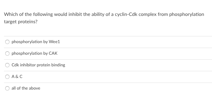 Which of the following would inhibit the ability of a cyclin-Cdk complex from phosphorylation
target proteins?
phosphorylation by Wee1
phosphorylation by CAK
Cdk inhibitor protein binding
A & C
all of the above
