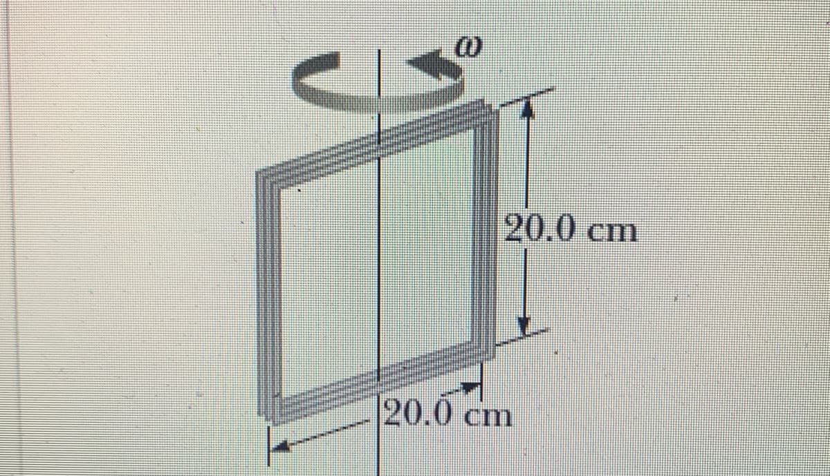 20.0 cm
20.0 cm
