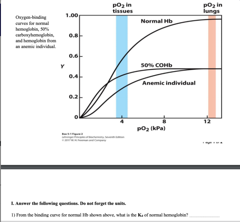 pO2 in
tissues
p02 in
lungs
1.00
Oxygen-binding
curves for normal
Normal Hb
hemoglobin, 50%
carboxyhemoglobin,
and hemoglobin from
0.8
an anemic individual.
0.6
Y
50% COHB
0.4-
Anemic individual
0.2
4
8
12
pO2 (kPa)
Box 5-1 Figure 2
Lehninger Principles of Biochemistry, Seventh Edition
O 2017 W. H. Freeman and Company
r aye i UIE
I. Answer the following questions. Do not forget the units.
1) From the binding curve for normal Hb shown above, what is the Ka of normal hemoglobin?
