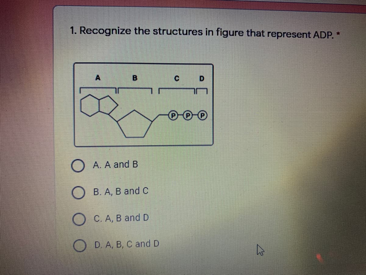 1. Recognize the structures in figure that represent ADP. *
A
D.
O A. A and B
Ов А, В and C
ОС.А, В and D
DA, B, C and D
