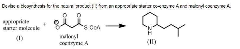 Devise a biosynthesis for the natural product (II) from an appropriate starter co-enzyme A and malonyl coenzyme A.
appropriate
starter molecule
(I)
S-COA
malonyl
coenzyme A
By
(II)