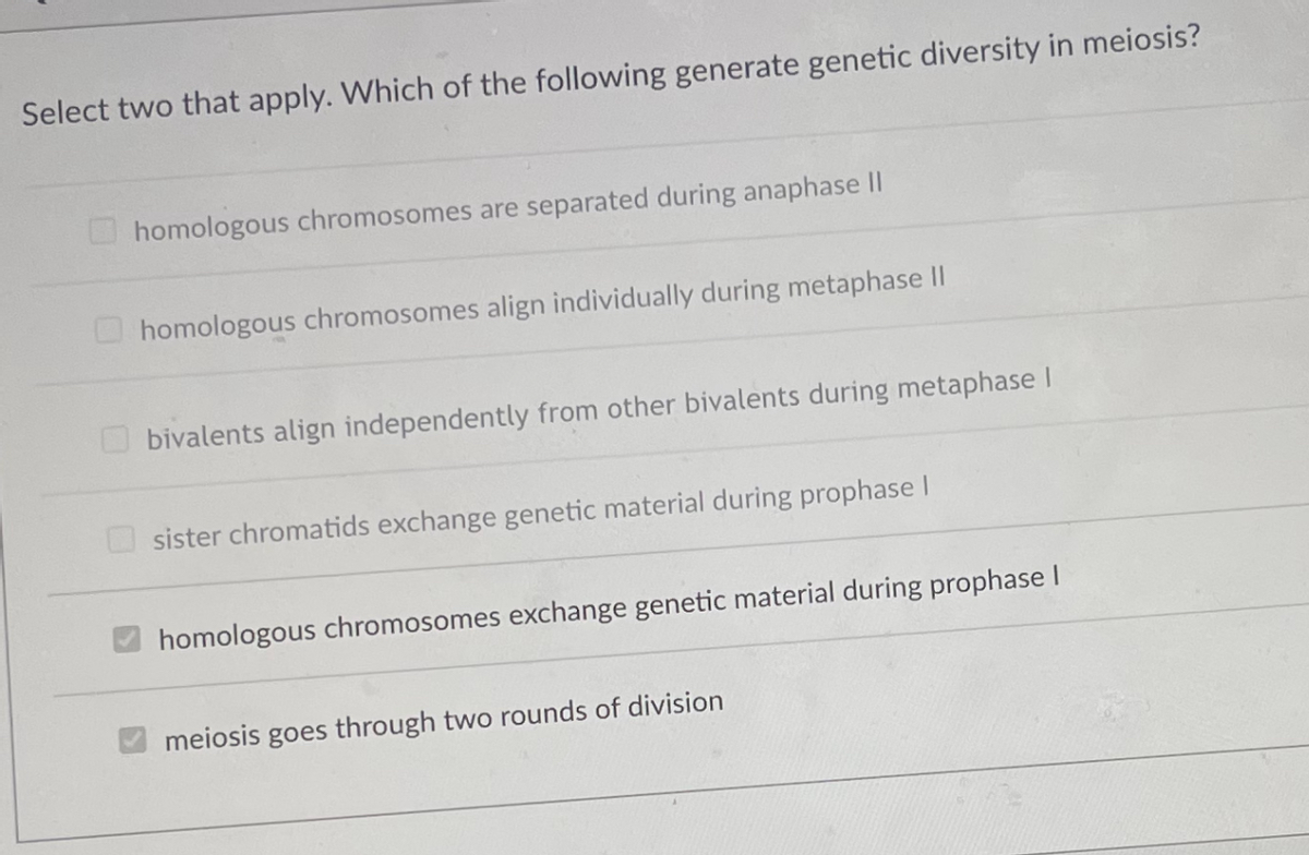 Select two that apply. Which of the following generate genetic diversity in meiosis?
homologous chromosomes are separated during anaphase II
homologous chromosomes align individually during metaphase II
O bivalents align independently from other bivalents during metaphase I
sister chromatids exchange genetic material during prophase I
homologous chromosomes exchange genetic material during prophase I
meiosis goes through two rounds of division
