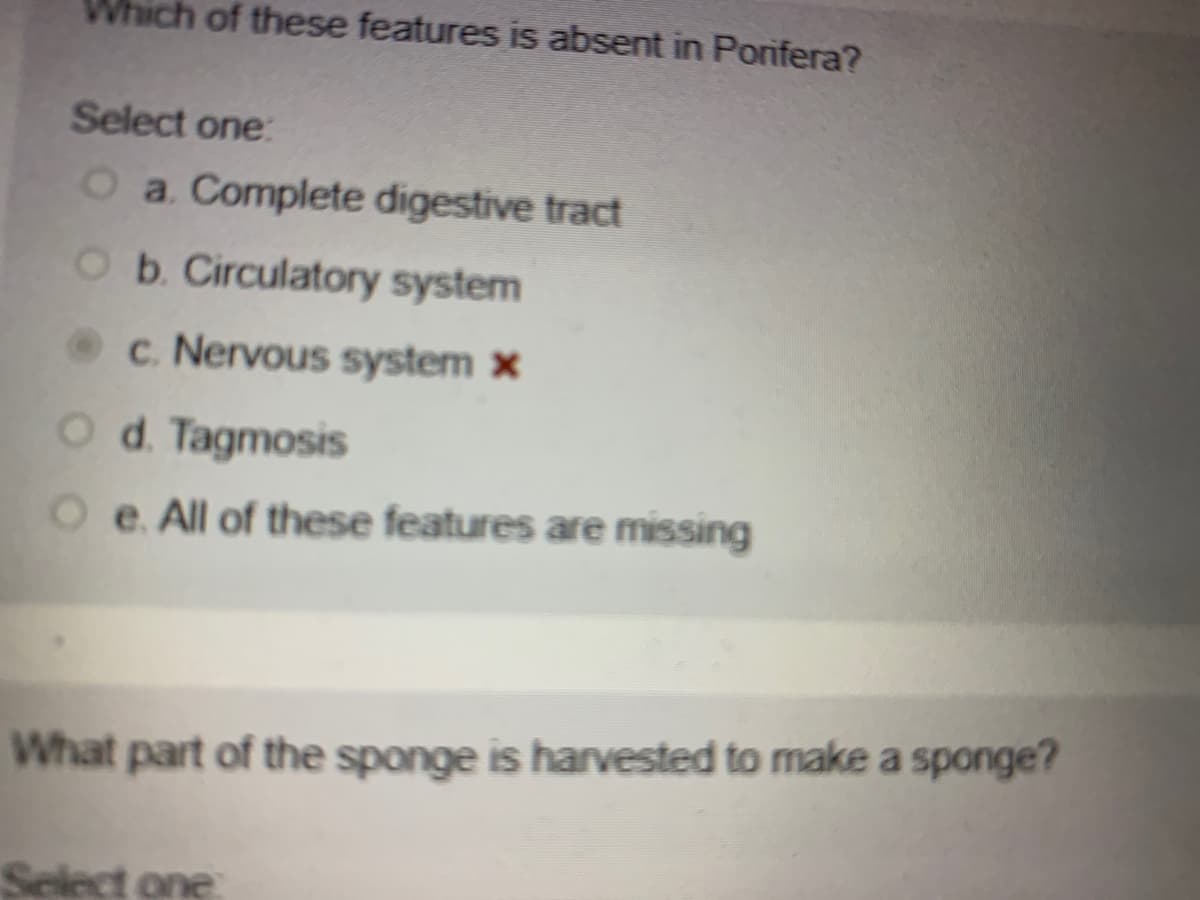 Which of these features is absent in Porifera?
Select one:
O a. Complete digestive tract
Ob. Circulatory system
c. Nervous system x
O d. Tagmosis
O e. All of these features are missing
What part of the sponge is harvested to make a sponge?
Select one
