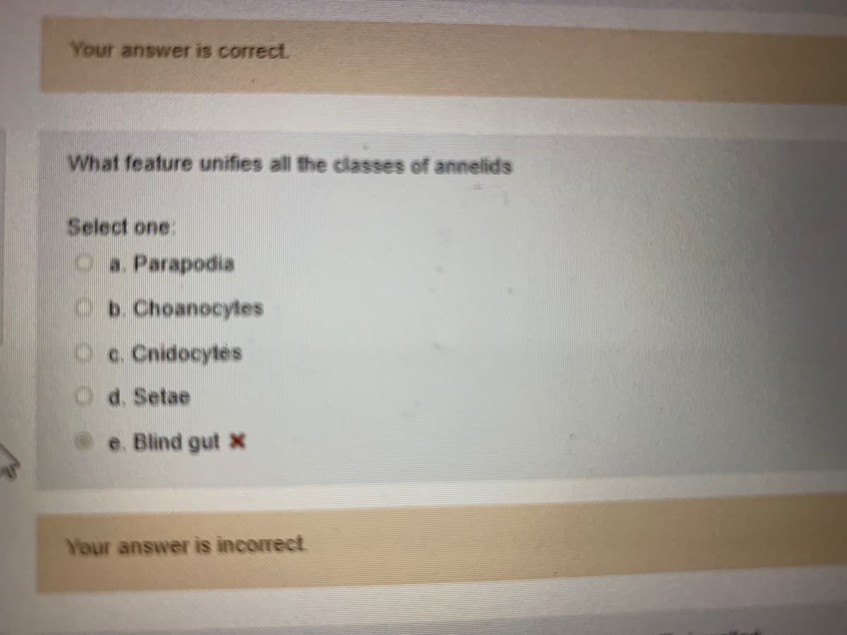 Your answer is correct.
What feature unifies all the classes of annelids
Select one:
Oa Parapodia
O Choanocytes
Oc. Cnidocytes
Od. Setae
e. Blind gut X
Your answer is incorrect
