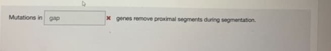 Mutations in gap
x genes remove proximal segments during segmentation.
