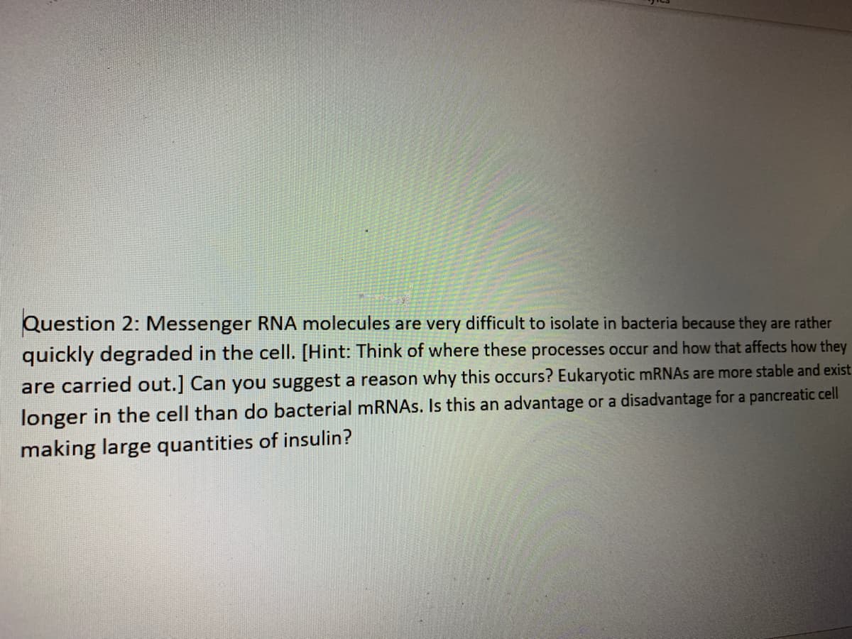 Question 2: Messenger RNA molecules are very difficult to isolate in bacteria because they are rather
quickly degraded in the cell. [Hint: Think of where these processes occur and how that affects how they
are carried out.] Can you suggest a reason why this occurs? Eukaryotic mRNAs are more stable and exist
longer in the cell than do bacterial MRNAS. Is this an advantage or a disadvantage for a pancreatic cell
making large quantities of insulin?
