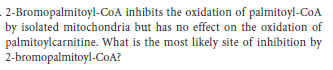 2-Bromopalmitoyl-CoA inhibits the oxidation of palmitoyl-CoA
by isolated mitochondria but has no effect on the oxidation of
palmitoylcarnitine. What is the most likely site of inhibition by
2-bromopalmitoyl-CoA?
