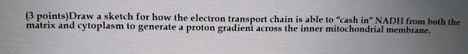 (3 points)Draw a sketch for how the electron transport chain is able to "cash in" NADH from both the
matrix and cytoplasm to generate a proton gradient across the inner mitochondrial membrane.