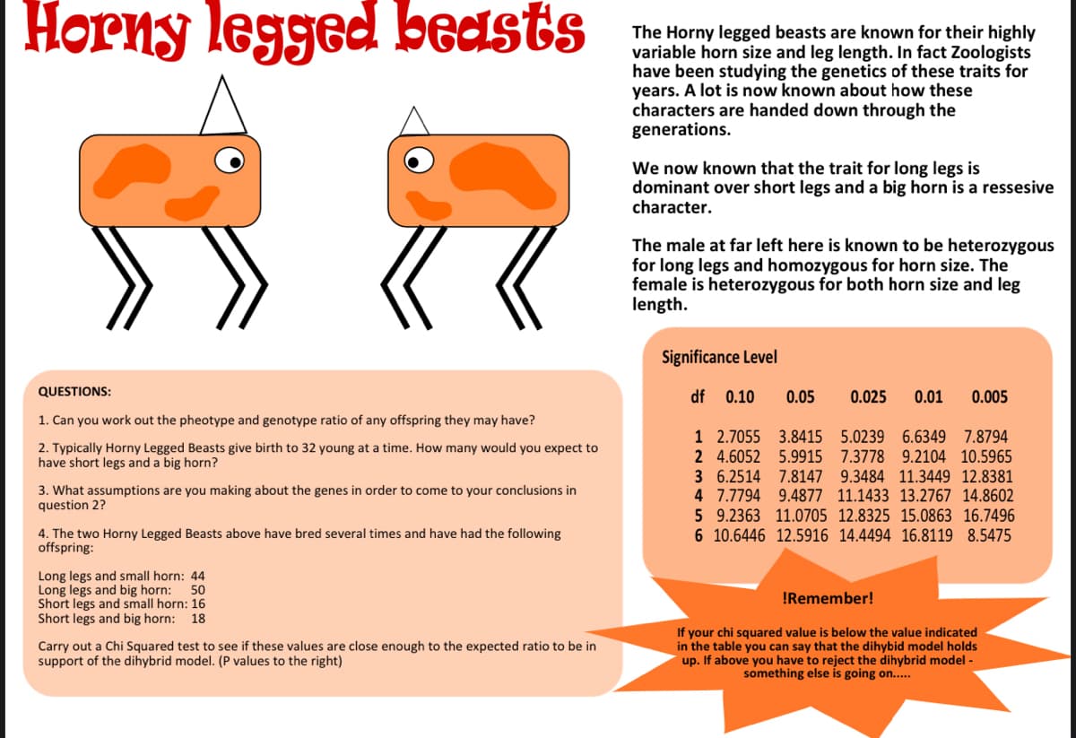 Horny legged beasts
The Horny legged beasts are known for their highly
variable horn size and leg length. In fact Zoologists
have been studying the genetics of these traits for
years. A lot is now known about how these
characters are handed down through the
generations.
We now known that the trait for long legs is
dominant over short legs and a big horn is a ressesive
character.
The male at far left here is known to be heterozygous
for long legs and homozygous for horn size. The
female is heterozygous for both horn size and leg
length.
Significance Level
QUESTIONS:
df
0.10
0.05
0.025
0.01
0.005
1. Can you work out the pheotype and genotype ratio of any offspring they may have?
2. Typically Horny Legged Beasts give birth to 32 young at a time. How many would you expect to
have short legs and a big horn?
1 2.7055 3.8415 5.0239 6.6349 7.8794
2 4.6052 5.9915 7.3778 9.2104 10.5965
3 6.2514 7.8147 9.3484 11.3449 12.8381
4 7.7794 9.4877 11.1433 13.2767 14.8602
5 9.2363 11.0705 12.8325 15.0863 16.7496
6 10.6446 12.5916 14.4494 16.8119 8.5475
3. What assumptions are you making about the genes in order to come to your conclusions in
question 2?
4. The two Horny Legged Beasts above have bred several times and have had the following
offspring:
Long legs and small horn: 44
Long legs and big horn:
50
Short legs and small horn: 16
!Remember!
Short legs and big horn:
18
If your chi squared value is below the value indicated
in the table you can say that the dihybid model holds
up. If above you have to reject the dihybrid model -
something else is going on...
Carry out a Chi Squared test to see if these values are close enough to the expected ratio to be in
support of the dihybrid model. (P values to the right)
