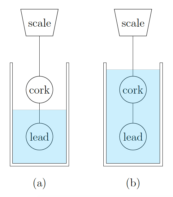 scale
scale
(cork
(cork
lead
(lead
(a)
(b)
