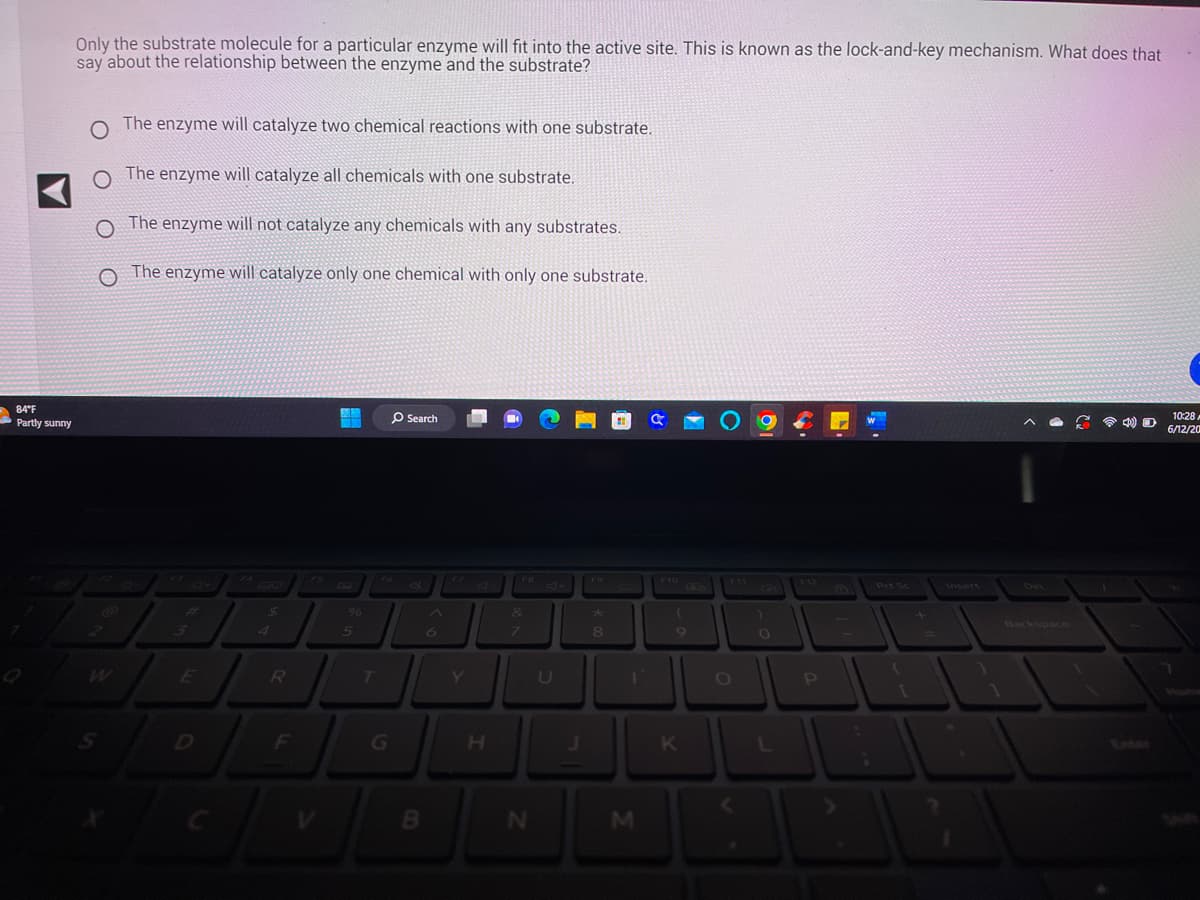 84°F
Partly sunny
Only the substrate molecule for a particular enzyme will fit into the active site. This is known as the lock-and-key mechanism. What does that
say about the relationship between the enzyme and the substrate?
O
The enzyme will catalyze two chemical reactions with one substrate.
The enzyme will catalyze all chemicals with one substrate.
O
The enzyme will not catalyze any chemicals with any substrates.
O
The enzyme will catalyze only one chemical with only one substrate.
الی کی
E
$
R
F
CV
5
T
O Search
FO
G
B
^
Y
H
F8
&
7
N
8
ľ
M
a
(
9
K
O
0
L
P
-
+
4) O
10:28
6/12/20