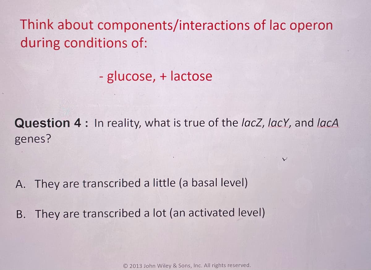 Think about components/interactions of lac operon
during conditions of:
- glucose, + lactose
Question 4 : In reality, what is true of the lacZ, lacY, and lacA
genes?
A. They are transcribed a little (a basal level)
B. They are transcribed a lot (an activated level)
© 2013 John Wiley & Sons, Inc. All rights reserved.
