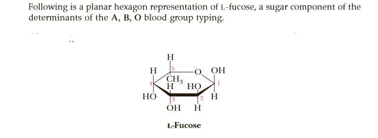 Following is a planar hexagon representation of L-fucose, a sugar component of the
determinants of the A, B, O blood group typing.
H
O OH
H
CH3
H
НО
НО
H
ОН
L-Fucose
