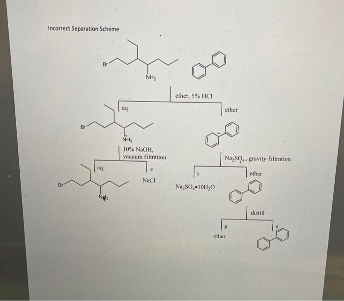 Incorrect Separation Scheme
Br
NH2
ether, 5% HCI
aq
ether
Br
NH,
10% NAOH,
vacuum filtration
Na,SO4, gravity filtration
aq
ether
NaCI
Na,SO, 10H,O
Br
distill
ether
