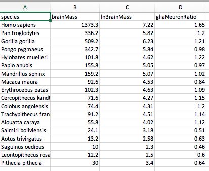 A
В
species
IbrainMass
InBrainMass
gliaNeuronRatio
Homo sapiens
1373.3
7.22
1.65
Pan troglodytes
336.2
5.82
1.2
Gorilla gorilla
509.2
6.23
1.21
Pongo pygmaeus
342.7
5.84
0.98
Hylobates muelleri
101.8
4.62
1.22
Papio anubis
155.8
5.05
0.97
Mandrillus sphinx
159.2
5.07
1.02
Macaca maura
92.6
4.53
0.84
Erythrocebus patas
Cercopithecus kandt
102.3
4.63
1.09
71.6
4.27
1.15
Colobus angolensis
Trachypithecus fran
Alouatta caraya
74.4
4.31
1.2
91.2
4.51
1.14
55.8
4.02
1.12
Saimiri boliviensis
24.1
3.18
0.51
Aotus trivirgatus
13.2
2.58
0.63
Saguinus oedipus
10
2.3
0.46
Leontopithecus rosa
12.2
2.5
0.6
Pithecia pithecia
30
3.4
0.64
