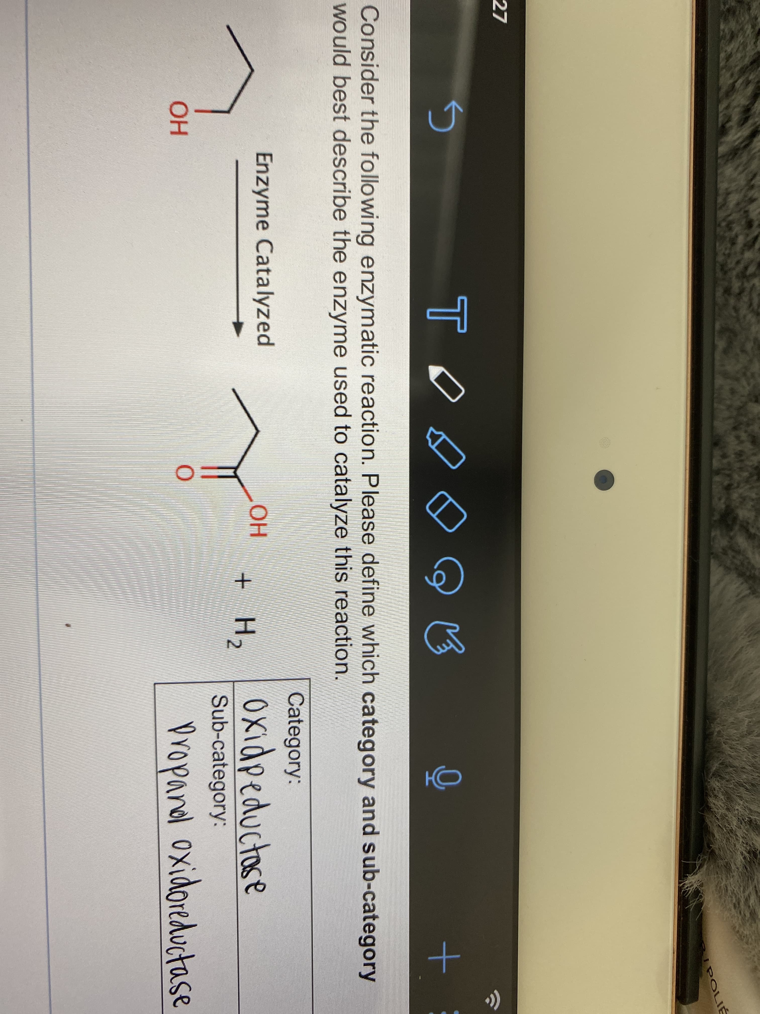 sider the following
Id best describe t
Enzyme
OH
