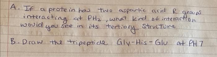 groups.
A. If a protein has two aspartic acid R.
interacting at PH₂, what kind of interaction
would
you see in its tertiary
Structure
B. Draw the tripeptide Gly-His-Glu at PH 7