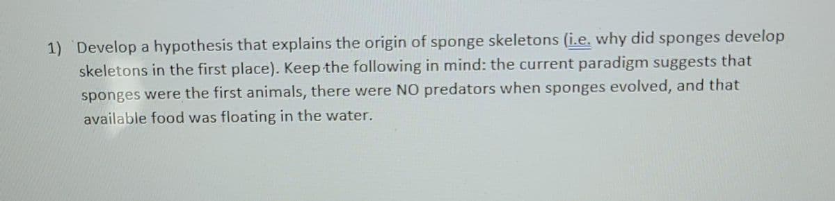 1) Develop a hypothesis that explains the origin of sponge skeletons (i.e, why did sponges develop
skeletons in the first place). Keep the following in mind: the current paradigm suggests that
sponges were the first animals, there were NO predators when sponges evolved, and that
available food was floating in the water.
