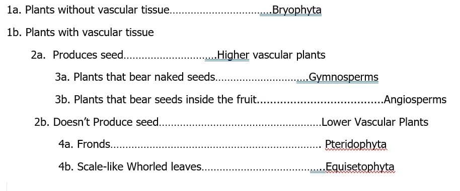 la. Plants without vascular tissue...
.Bryophyta
1b. Plants with vascular tissue
2a. Produces seed..
.Higher vascular plants
3a. Plants that bear naked seeds...
Gymnosperms
3b. Plants that bear seeds inside the fruit..
.Angiosperms
2b. Doesn't Produce seed.
.Lower Vascular Plants
4a. Fronds..
Pteridophyta
4b. Scale-like Whorled leaves...
Equisetophyta
