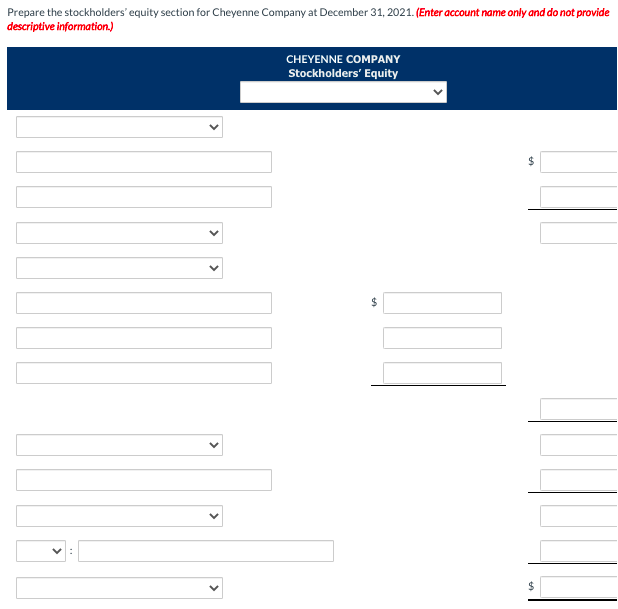 Prepare the stockholders' equity section for Cheyenne Company at December 31, 2021. (Enter account name only and do not provide
descriptive information.)
CHEYENNE COMPANY
Stockholders' Equity
24
$4
