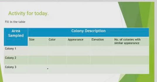 Activity for today.
FiLl in the table
Colony Description
Area
Sampled
Size
Color
Appearance
Elevation
No. of colonies with
similar appearance
Colony 1
Colony 2
Colony 3
