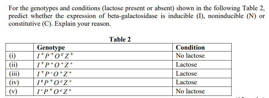 For the genotypes and conditions (lactose present or absent) shown in the following Table 2,
predict whether the expression of beta-galactosidase is inducible (I), noninducible (N) or
constitutive (C). Explain your reason.
Table 2
Genotype
I*p*o°z+
Condition
(i)
No lactose
(ii)
(iii)
(iv)
I*P*O*Z+
I*P•O*Z*
I$P*O°Z*
Lactose
Lactose
Lactose
(v)
IP*0°Z+
No lactose
