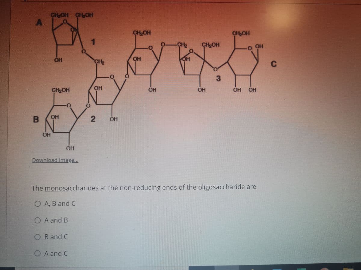 CHOH CH OH
CH,OH
CHOH
1.
CH2
CH2OH
O OH
CH2
OH
3
CH2OH
OH
OH
OH
OH
HO
B
OH
2.
OH
OH
Download Image...
The monosaccharides at the non-reducing ends of the oligosaccharide are
O A, B and C
O A and B
O B and C
O A and C
