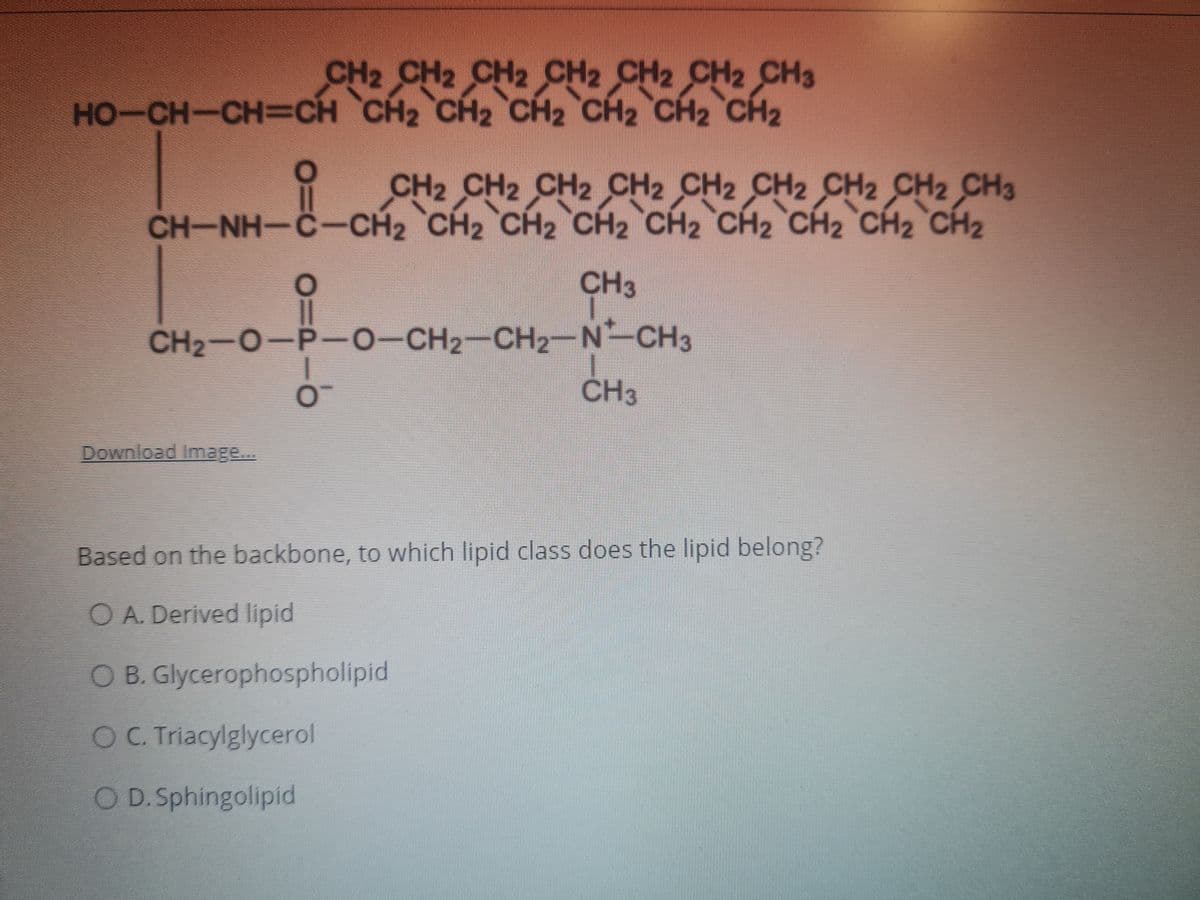 CH2 CH2 CH2 CH2 CH2 CH2 CH3
HO-CH-CH=CH CH2 CH2 CH2 CH2 CH2 CH2
CH2 CH2 CH2 CH2 CH2 CH2 CH2 CH2 CH3
CH-NH-C-CH2 CH2 CH2 CH2 CH2 CH2 CH2 CH2 CH2
CH3
CH2-O-P-0-CH2-CH2-N-CH3
CHa
CH3
Download Image...
Based on the backbone, to which lipid class does the lipid belong?
O A. Derived lipid
O B. Glycerophospholipid
OC. Triacylglycerol
O D.Sphingolipid
