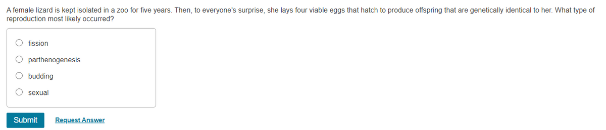 A female lizard is kept isolated in a zoo for five years. Then, to everyone's surprise, she lays four viable eggs that hatch to produce offspring that are genetically identical to her. What type of
reproduction most likely occurred?
fission
parthenogenesis
O budding
O sexual
Submit
Request Answer
O O O
