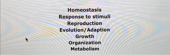 Homeostasis
Response to stimuli
Reproduction
Evolution/Adaption
Growth
Organization
Metabolism