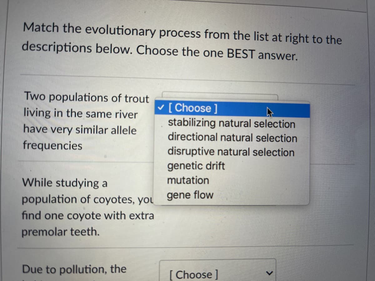 Match the evolutionary process from the list at right to the
descriptions below. Choose the one BEST answer.
Two populations of trout
living in the same river
have very similar allele
v [ Choose ]
stabilizing natural selection
directional natural selection
frequencies
disruptive natural selection
genetic drift
While studying a
mutation
population of coyotes, you
gene flow
find one coyote with extra
premolar teeth.
Due to pollution, the
[ Choose ]
