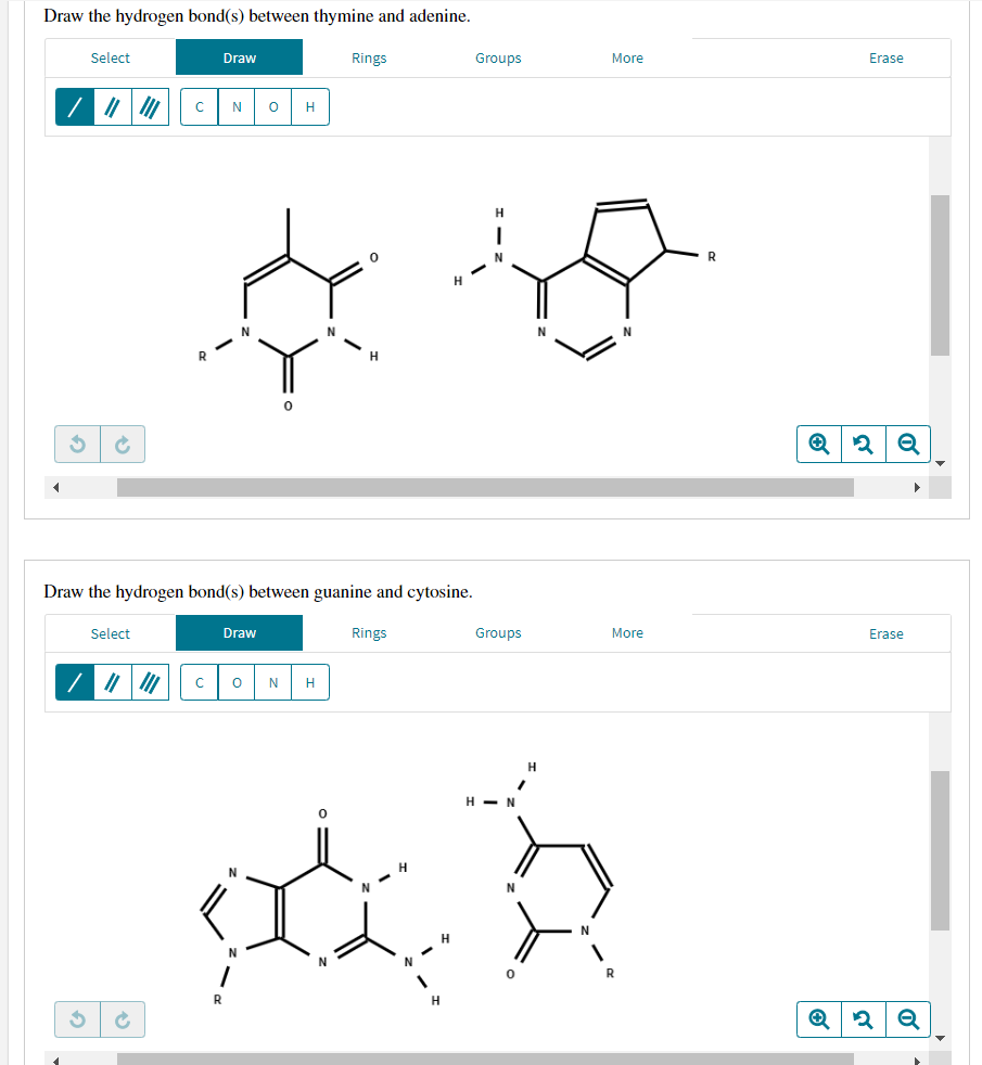 Draw the hydrogen bond(s) between thymine and adenine.
Select
✓
Select
с
Ć
Draw
N
Draw the hydrogen bond(s) between guanine and cytosine.
O H
Draw
0
Rings
с O N H
Rings
N-H
Groups
H
N
Groups
H-N
N
0
H
N
More
More
R
Erase
✪ 2 Q
Erase