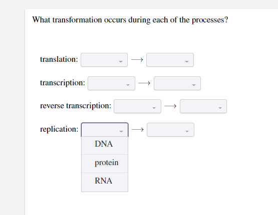 What transformation occurs during each of the processes?
translation:
transcription:
reverse transcription:
replication:
DNA
protein
RNA
→