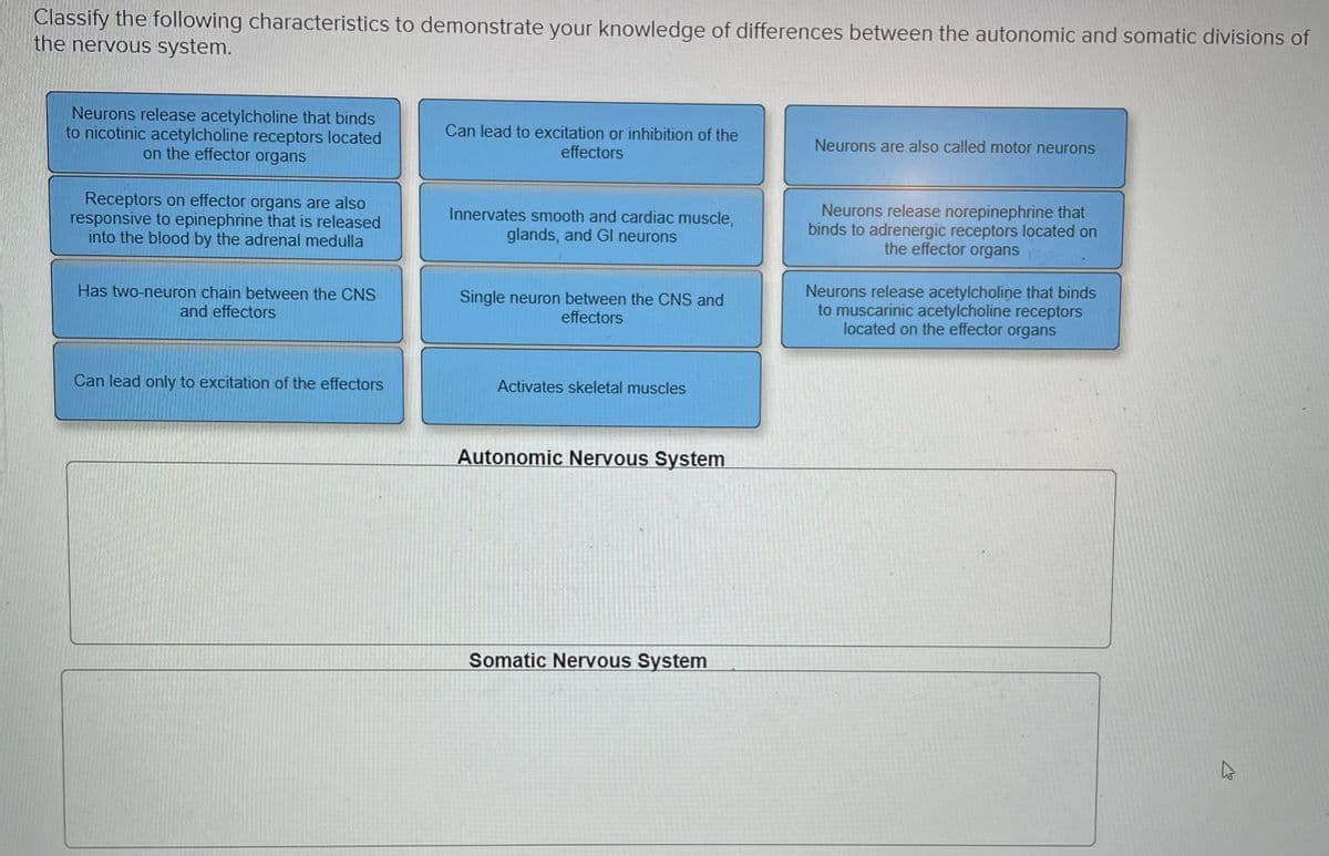 Classify the following characteristics to demonstrate your knowledge of differences between the autonomic and somatic divisions of
the nervous system.
Neurons release acetylcholine that binds
to nicotinic acetylcholine receptors located
on the effector organs
Can lead to excitation or inhibition of the
Neurons are also called motor neurons
effectors
Receptors on effector organs are also
responsive to epinephrine that is released
into the blood by the adrenal medulla
Innervates smooth and cardiac muscle,
glands, and Gl neurons
Neurons release norepinephrine that
binds to adrenergic receptors located on
the effector organs
Has two-neuron chain between the CNS
Single neuron between the CNS and
effectors
Neurons release acetylcholine that binds
to muscarinic acetylcholine receptors
located on the effector organs
and effectors
Can lead only to excitation of the effectors
Activates skeletal muscles
Autonomic Nervous System
Somatic Nervous System
