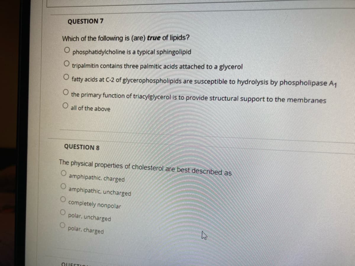 QUESTION 7
Which of the following is (are) true of lipids?
phosphatidylcholine is a typical sphingolipid
tripalmitin contains three palmitic acids attached to a glycerol
fatty acids at C-2 of glycerophospholipids are susceptible to hydrolysis by phospholipase A1
the primary function of triacylglycerol is to provide structural support to the membranes
all of the above
QUESTION 8
The physical properties of cholesterol are best described as
O.
amphipathic, charged
amphipathic, uncharged
completely nonpolar
polar, uncharged
polar, charged
QUESTIO
