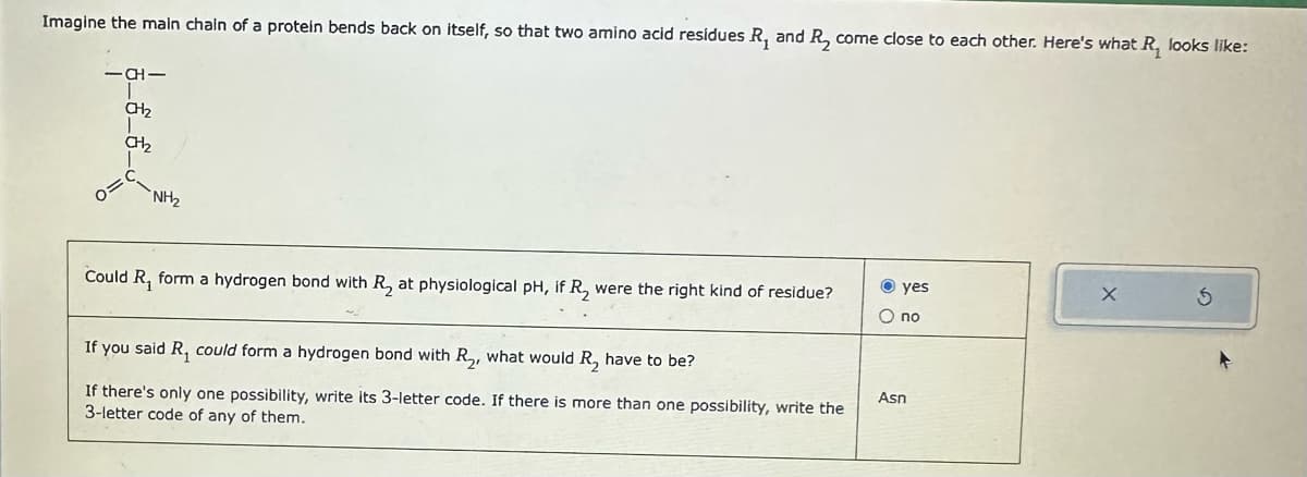 Imagine the main chain of a protein bends back on itself, so that two amino acid residues R₁ and R₂ come close to each other. Here's what R₁ looks like:
ICI
CH₂
CH₂
0=
NH₂
Could R₁ form a hydrogen bond with R₂ at physiological pH, if R₂ were the right kind of residue?
If you said R₁ could form a hydrogen bond with R₂, what would R₂ have to be?
If there's only one possibility, write its 3-letter code. If there is more than one possibility, write the
3-letter code of any of them.
yes
O no
Asn
X