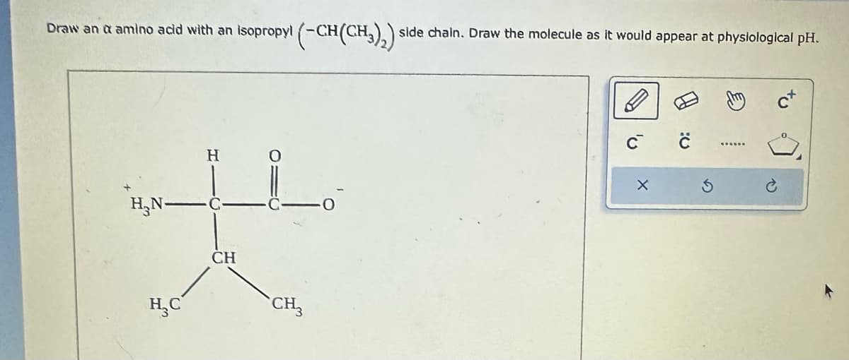 Draw an & amino acid with an isopropyl (-
(-CH(CH3)2) side chain. Draw the molecule as it would appear at physiological pH.
H
HN-
곳
CH
H, C
CH3
-
X
5
Jm