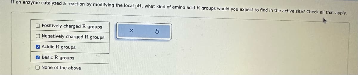 If an enzyme catalyzed a reaction by modifying the local pH, what kind of amino acid R groups would you expect to find in the active site? Check all that apply.
Positively charged R groups
O Negatively charged R groups
Acidic R groups
Basic R groups
None of the above
X
3