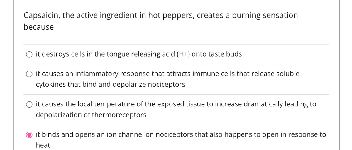 Capsaicin, the active ingredient in hot peppers, creates a burning sensation
because
it destroys cells in the tongue releasing acid (H+) onto taste buds
it causes an inflammatory response that attracts immune cells that release soluble
cytokines that bind and depolarize nociceptors
○ it causes the local temperature of the exposed tissue to increase dramatically leading to
depolarization of thermoreceptors
it binds and opens an ion channel on nociceptors that also happens to open in response to
heat