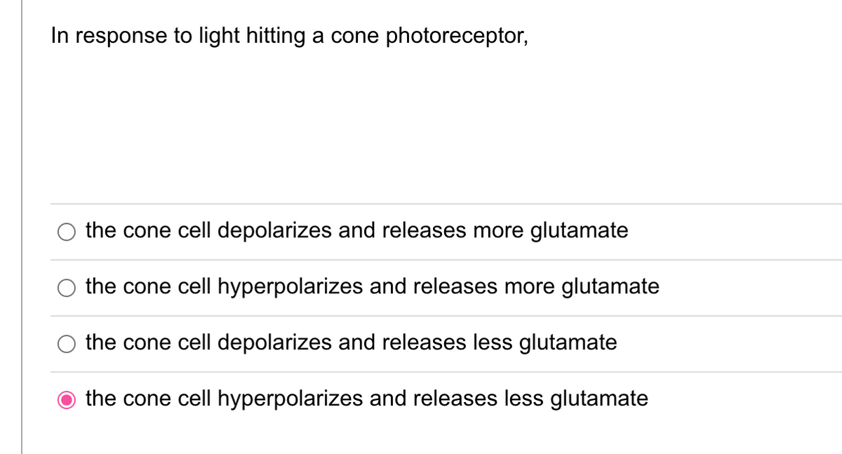 In response to light hitting a cone photoreceptor,
the cone cell depolarizes and releases more glutamate
the cone cell hyperpolarizes and releases more glutamate
the cone cell depolarizes and releases less glutamate
the cone cell hyperpolarizes and releases less glutamate