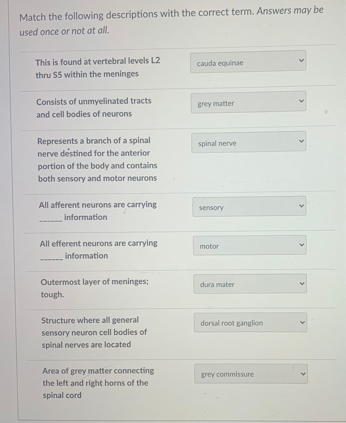 Match the following descriptions with the correct term. Answers may be
used once or not at all.
This is found at vertebral levels L2
cauda equinae
thru S5 within the meninges
Consists of unmyelinated tracts
grey matter
and cell bodies of neurons
Represents a branch of a spinal
spinal nerve
nerve destined for the anterior
portion of the body and contains
both sensory and motor neurons
All afferent neurons are carrying
sensory
information
All efferent neurons are carrying
motor
information
Outermost layer of meninges;
dura mater
tough.
Structure where all general
dorsal root ganglion
sensory neuron cell bodies of
spinal nerves are located
Area of grey matter connecting
grey commissure
the left and right horns of the
spinal cord
<>
>
<>
>
>
<>
