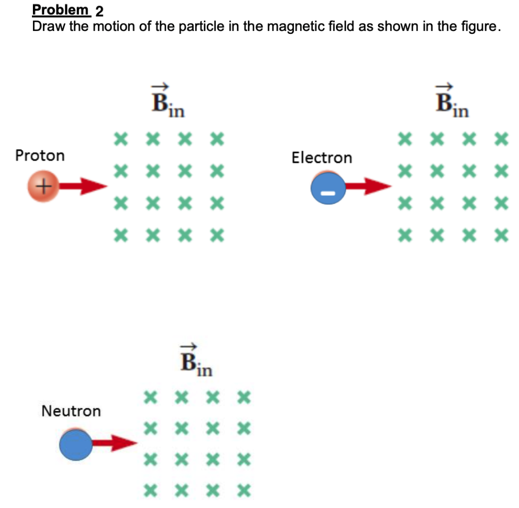 Problem 2
Draw the motion of the particle in the magnetic field as shown in the figure.
B
in
Bin
X x x x
X X x X
Electron
Proton
* * X X
x x x x
X x x x
* x x x
* * * *
Bin
X x x x
Neutron
X X X X
X * x X
x x X
