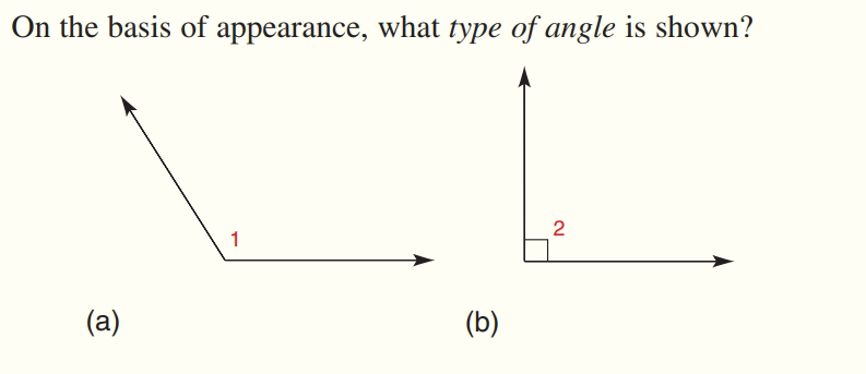 On the basis of appearance, what type of angle is shown?
(a)
(b)
