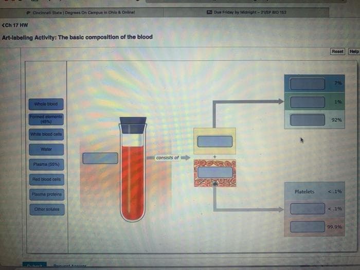 FOncinnati State Degrees On Campus in Ohla & Onlinet
Dun Friday by Midnight-21SP BIO 152
<Ch 17 HW
Art-labeling Activity: The basie composition of the blood
Reset
Help
7%
1%
Whole tiood
Fomned elemente
(46%)
92%
White blood cells
Water
consists of
Plasma (55%)
Rod blood celis
Platelets
<1%
Plasma proteins
Other solutes
<.1%
99.9%
