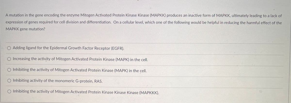 A mutation in the gene encoding the enzyme Mitogen Activated Protein Kinase Kinase (MAPKK) produces an inactive form of MAPKK, ultimately leading to a lack of
expression of genes required for cell division and differentiation. On a cellular level, which one of the following would be helpful in reducing the harmful effect of the
MAPKK gene mutation?
O Adding ligand for the Epidermal Growth Factor Receptor (EGFR).
O Increasing the activity of Mitogen Activated Protein Kinase (MAPK) in the cell.
O Inhibiting the activity of Mitogen Activated Protein Kinase (MAPK) in the cell.
O Inhibiting activity of the monomeric G-protein, RAS.
Inhibiting the activity of Mitogen Activated Protein Kinase Kinase Kinase (MAPKKK).