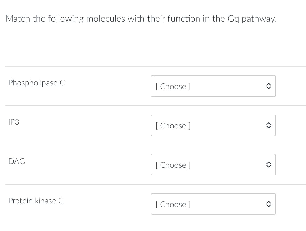 Match the following molecules with their function in the Gq pathway.
Phospholipase C
IP3
DAG
Protein kinase C
[Choose ]
[Choose ]
[Choose ]
[Choose ]