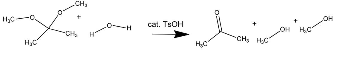 CH3
H3C-
O.
+
+
cat. TSOH
+
HO
HO
H3C
CH3
H3C
H3C
CH3 H3C
