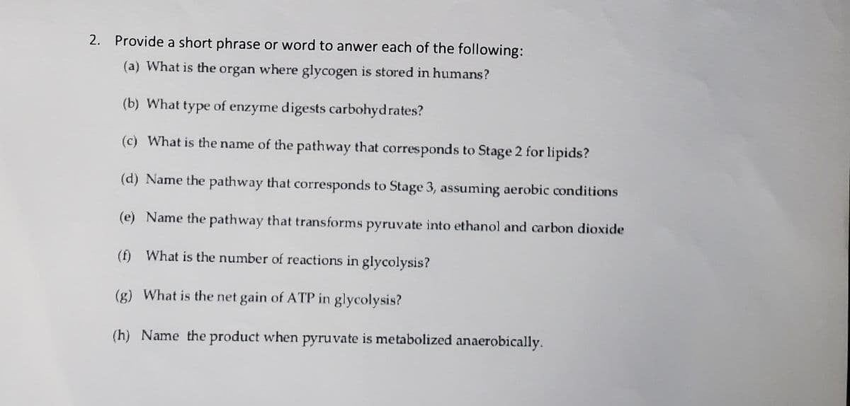 2. Provide a short phrase or word to anwer each of the following:
(a) What is the organ where glycogen is stored in humans?
(b) What type of enzyme digests carbohydrates?
(c) What is the name of the pathway that corresponds to Stage 2 for lipids?
(d) Name the pathway that corresponds to Stage 3, assuming aerobic conditions
(e) Name the pathway that transforms pyruvate into ethanol and carbon dioxide
(f) What is the number of reactions in glycolysis?
(g) What is the net gain of ATP in glycolysis?
(h) Name the product when pyruvate is metabolized anaerobically.
