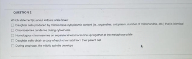 QUESTION 2
Which statement(s) about mitosis is/are true?
Daughter cells produced by mitosis have cytoplasmic content (ie, organelles, cytoplasm, number of mitochondria, etc.) that is identical
Chromosomes condense during cytokinesis
Homologous chromosomes on separate kinetochores line up together at the metaphase plate
Daughter cells obtain a copy of each chromatid from their parent cell
During prophase, the mitotic spindle develops