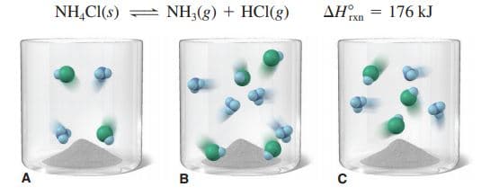 NH,CI(s) = NH;(g) + HCI(8)
ΔΗ
176 kJ
A
в
